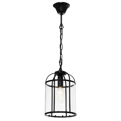 Decorative glass pendant deals light